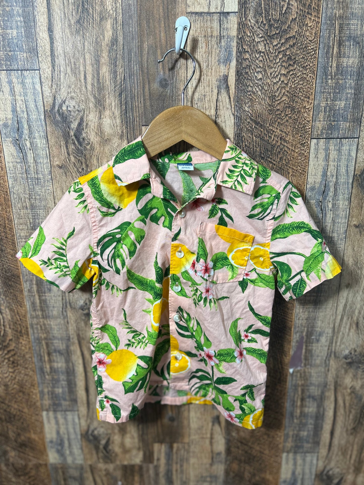 Button up, size 4t