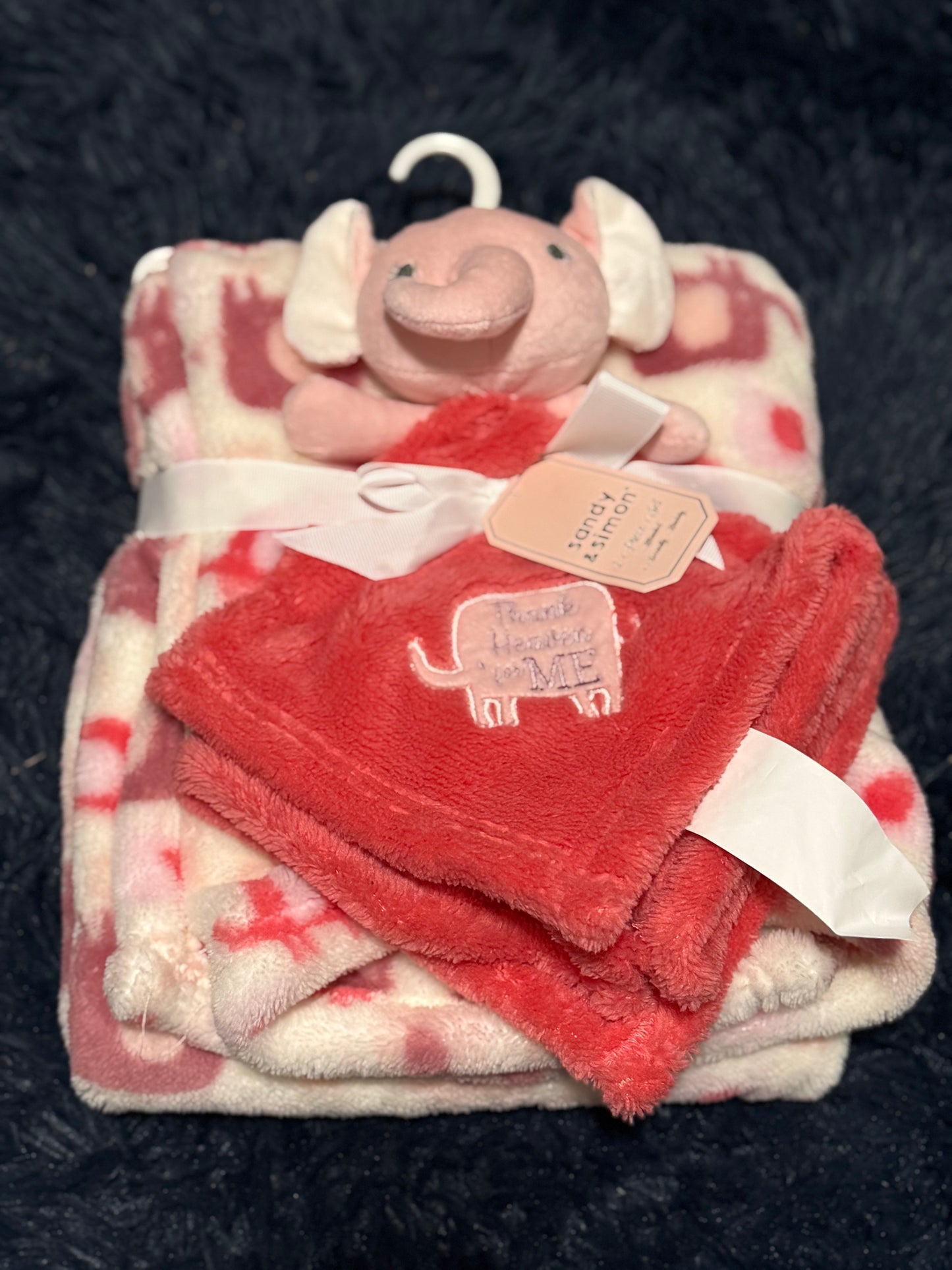 Blanket and blanket buddy set NWT
