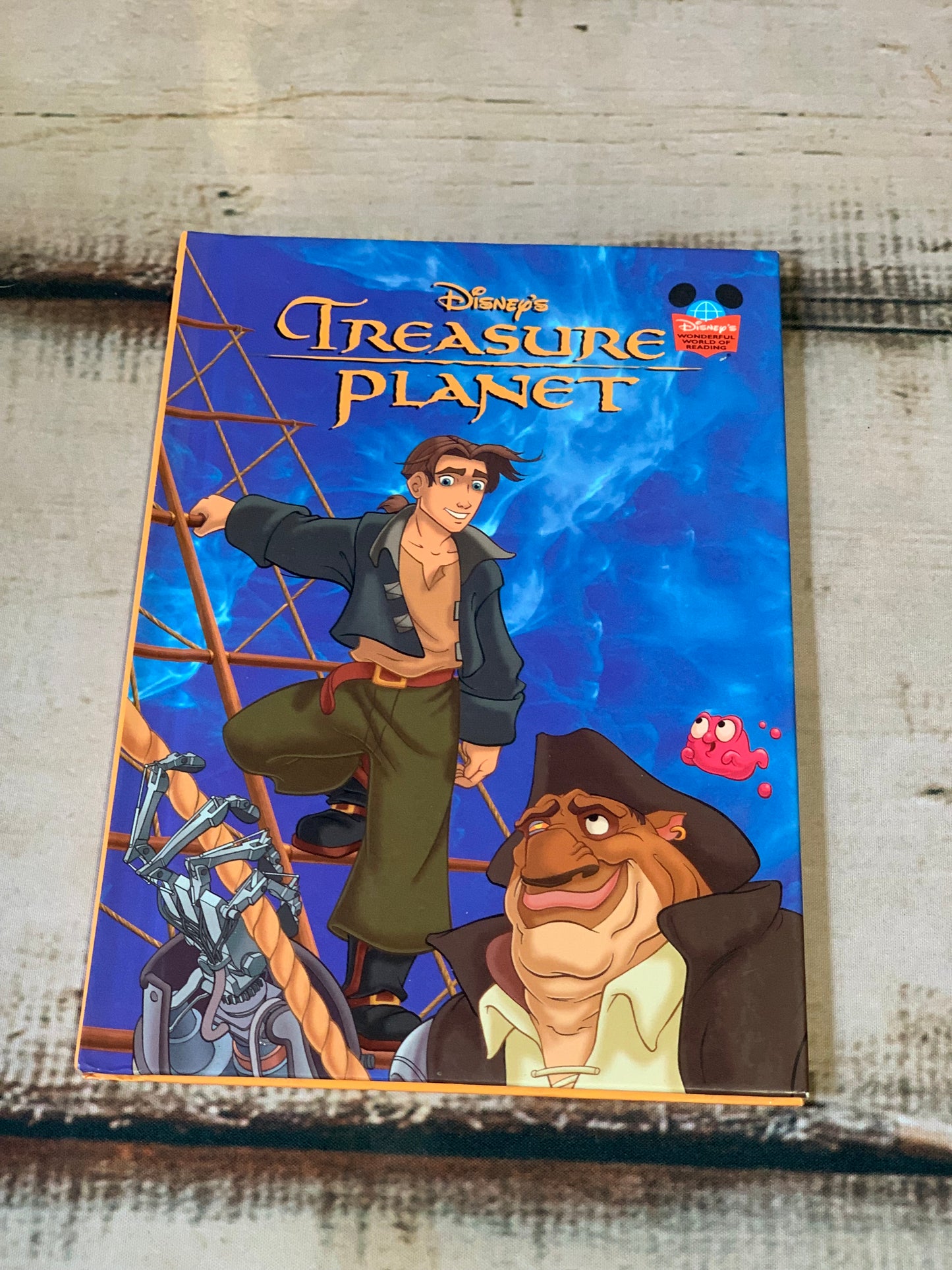 Treasure planet book