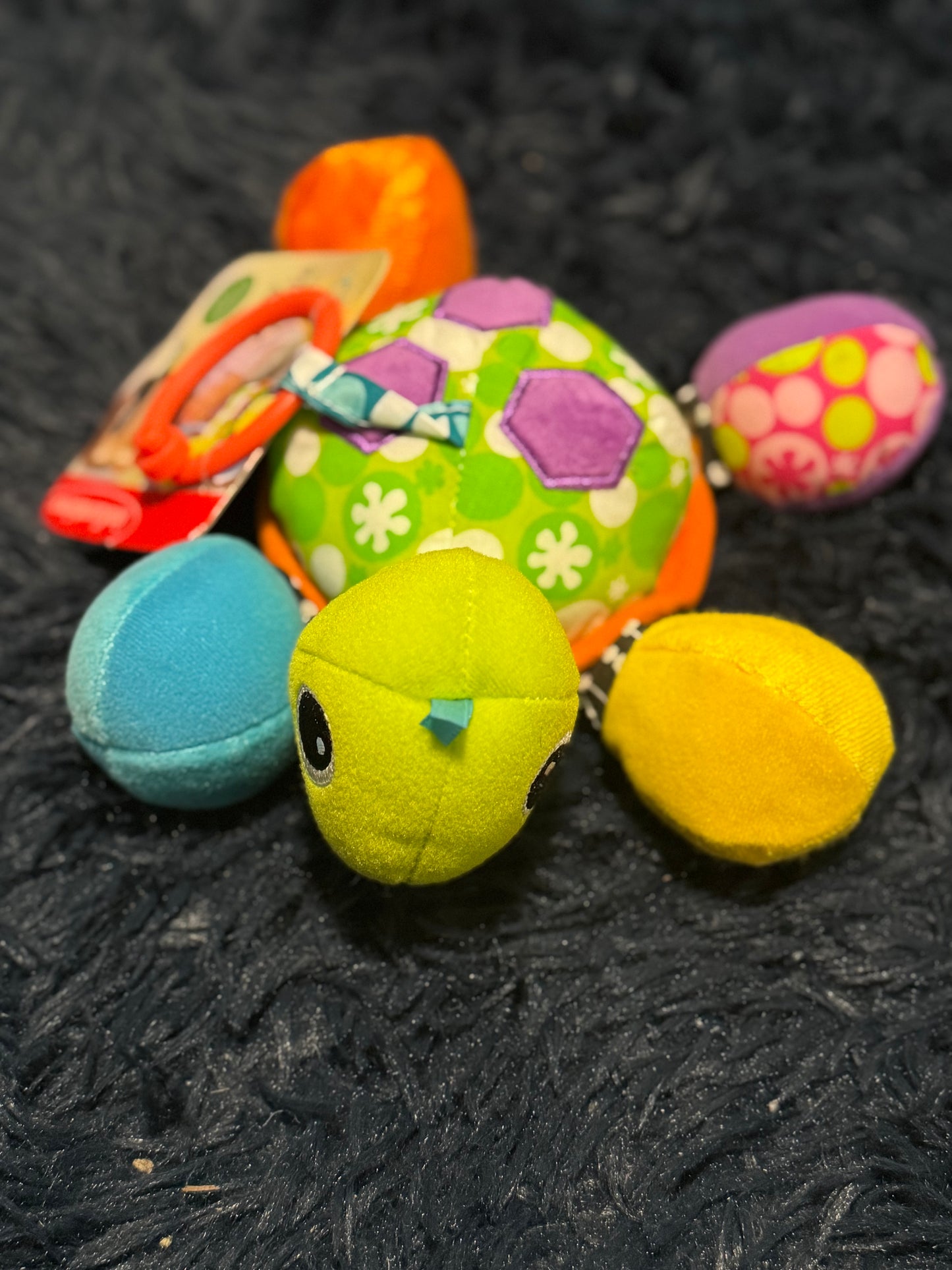 Turtle Teether and car seat toy