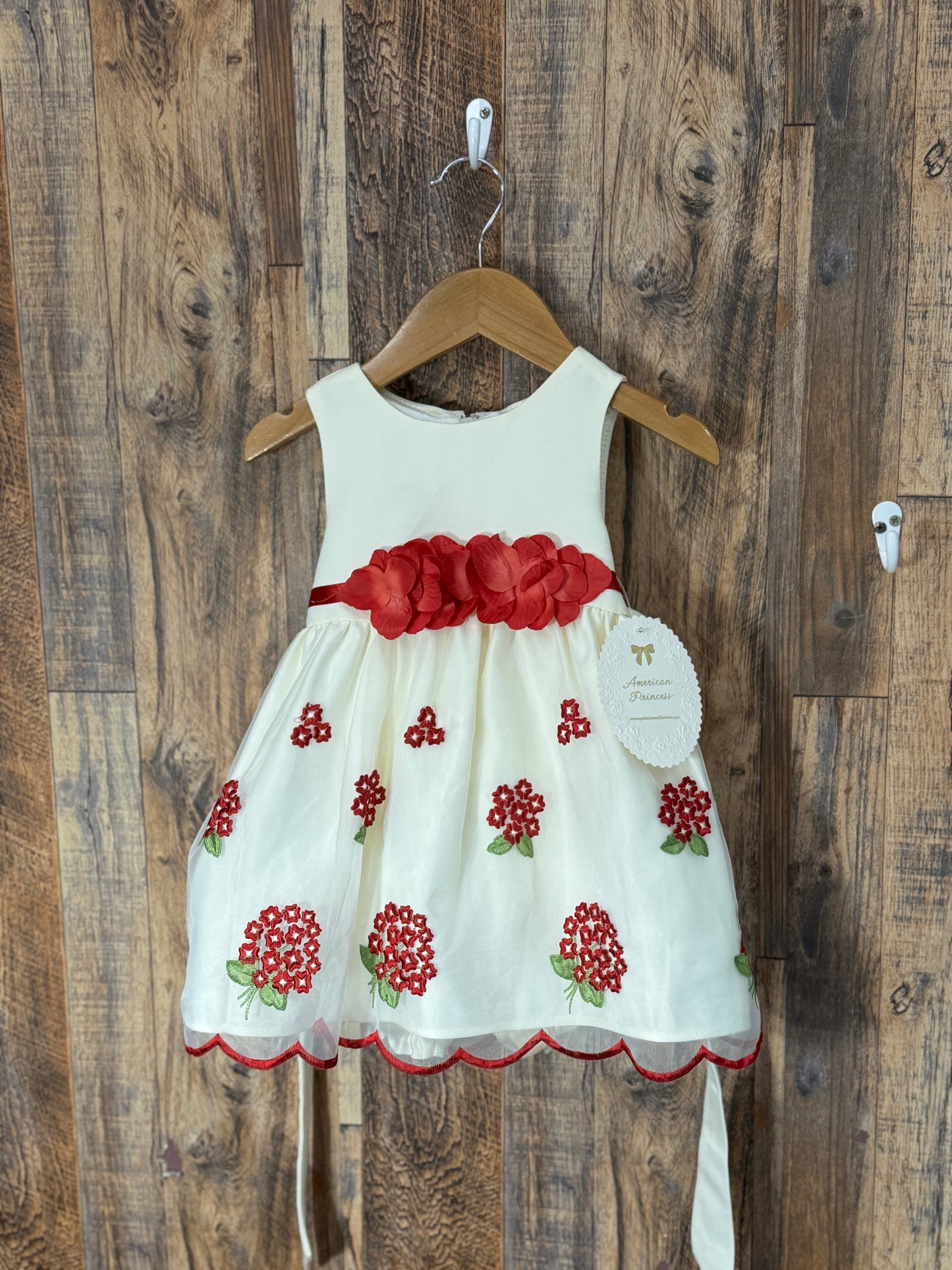 Dress NWT, size 24m