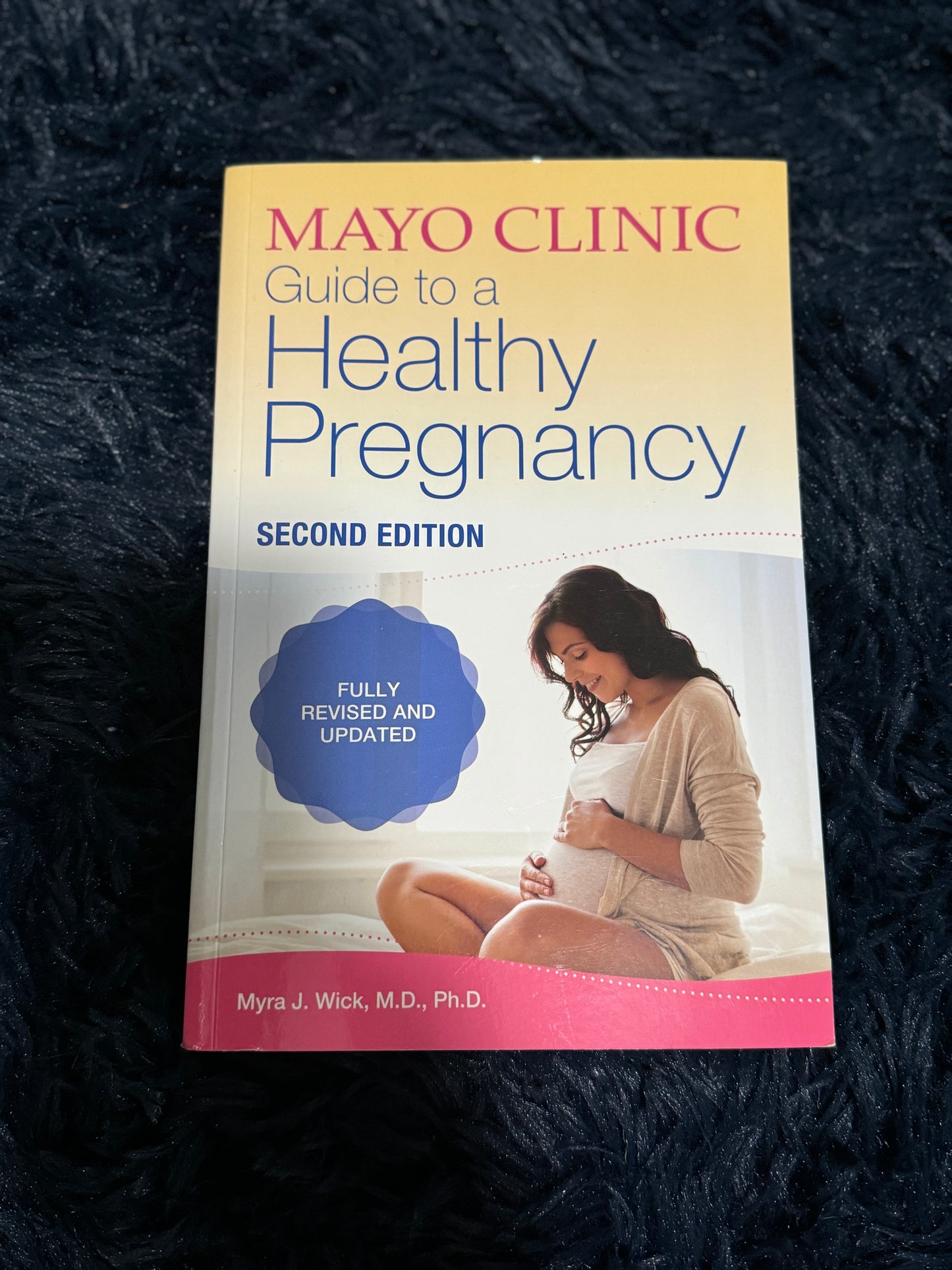 Guide to a healthy pregnancy book