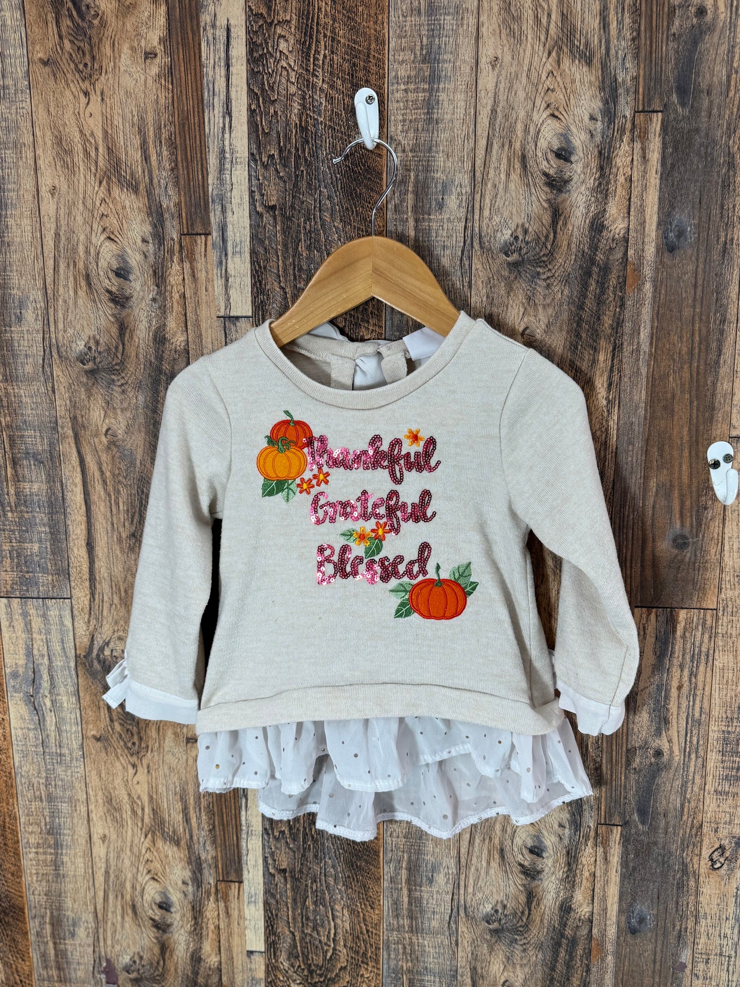 LS fall shirt, size 2t