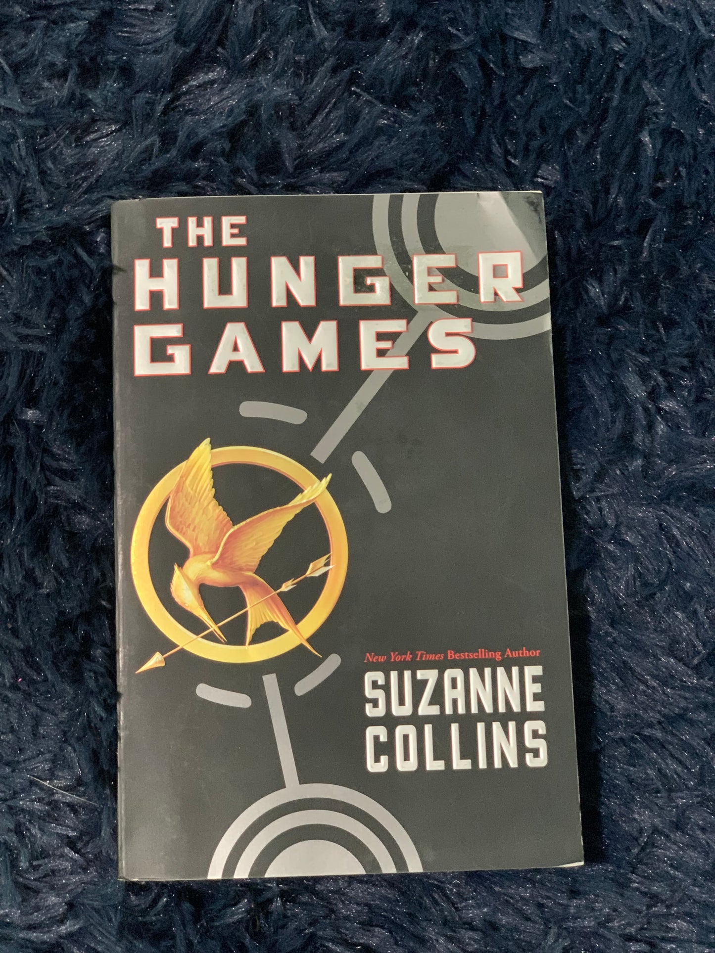 The hunger games chapter book