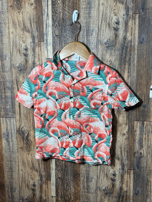 Button up, size 3t