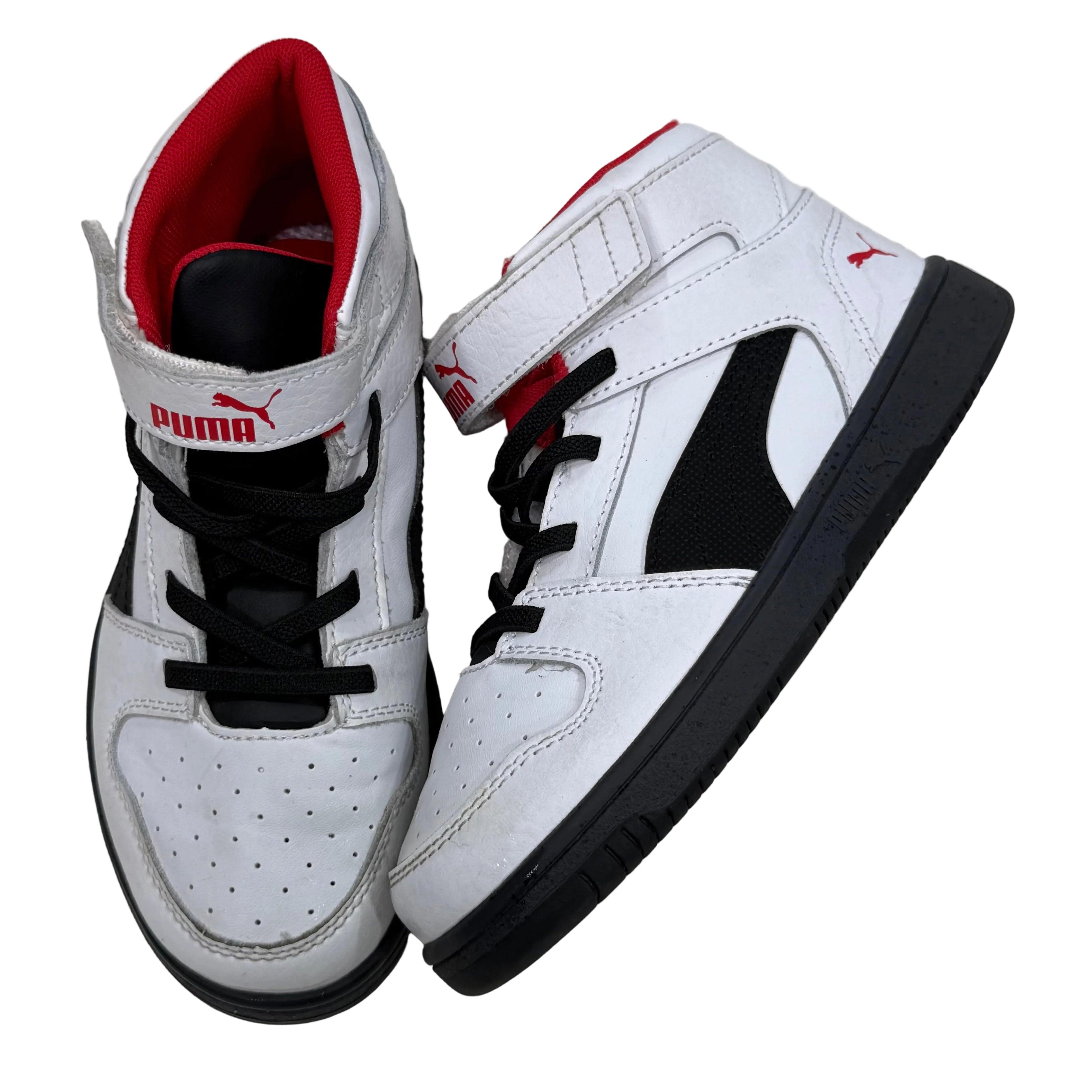 Puma, 1C