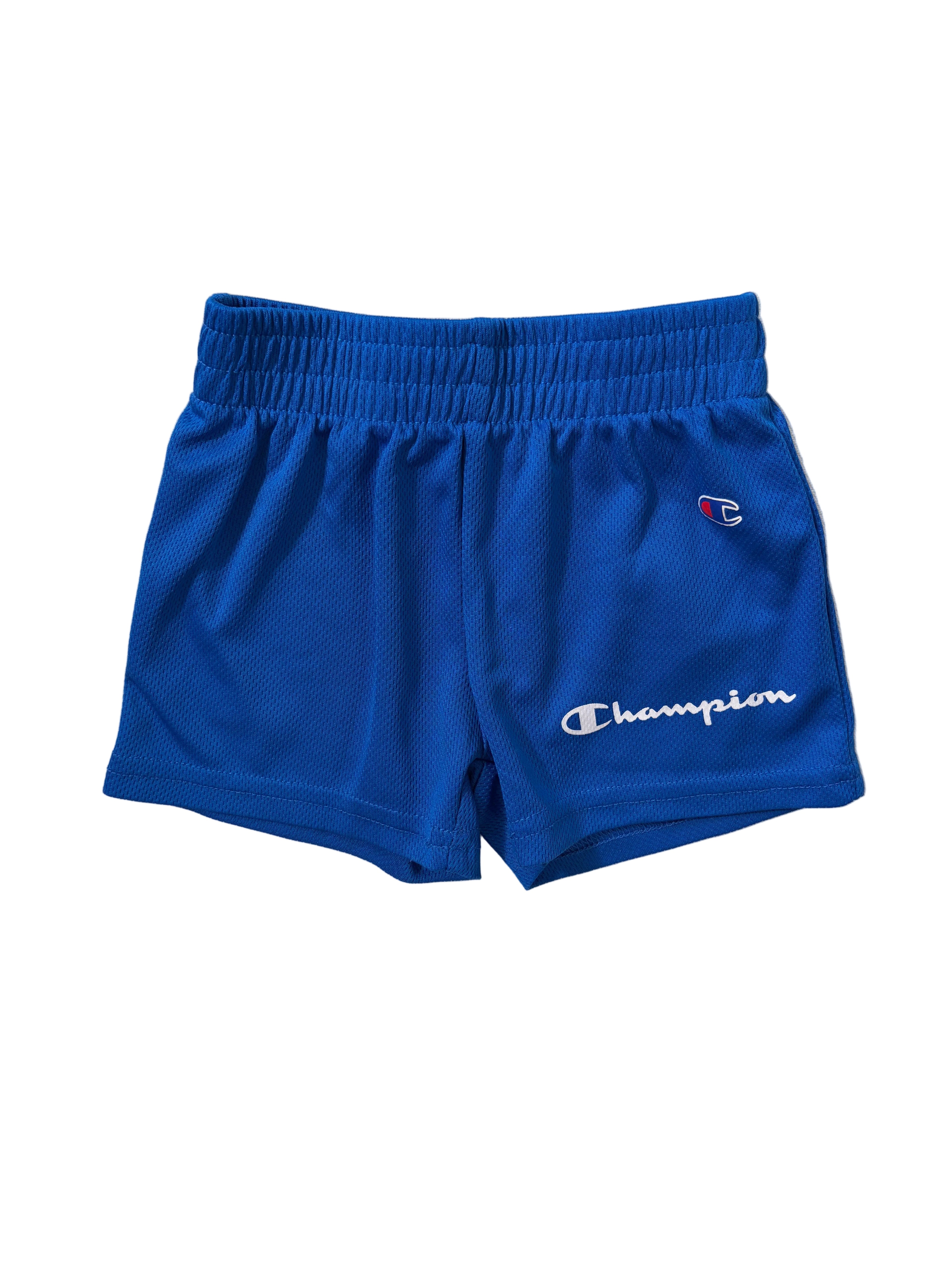 Champion, 12m