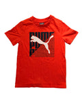 Puma, 5
