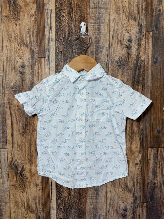 Button up, size 12-18m