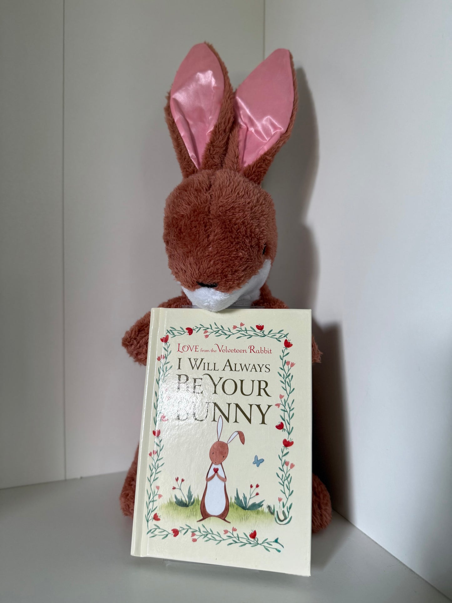 Stuffed bunny w/ book
