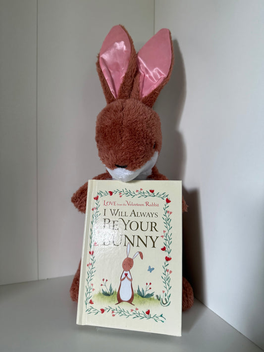 Stuffed bunny w/ book