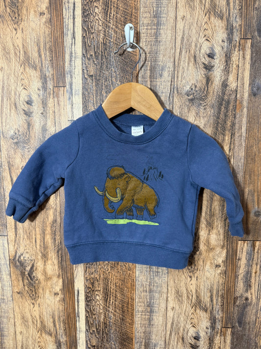 Sweatshirt, size 6m