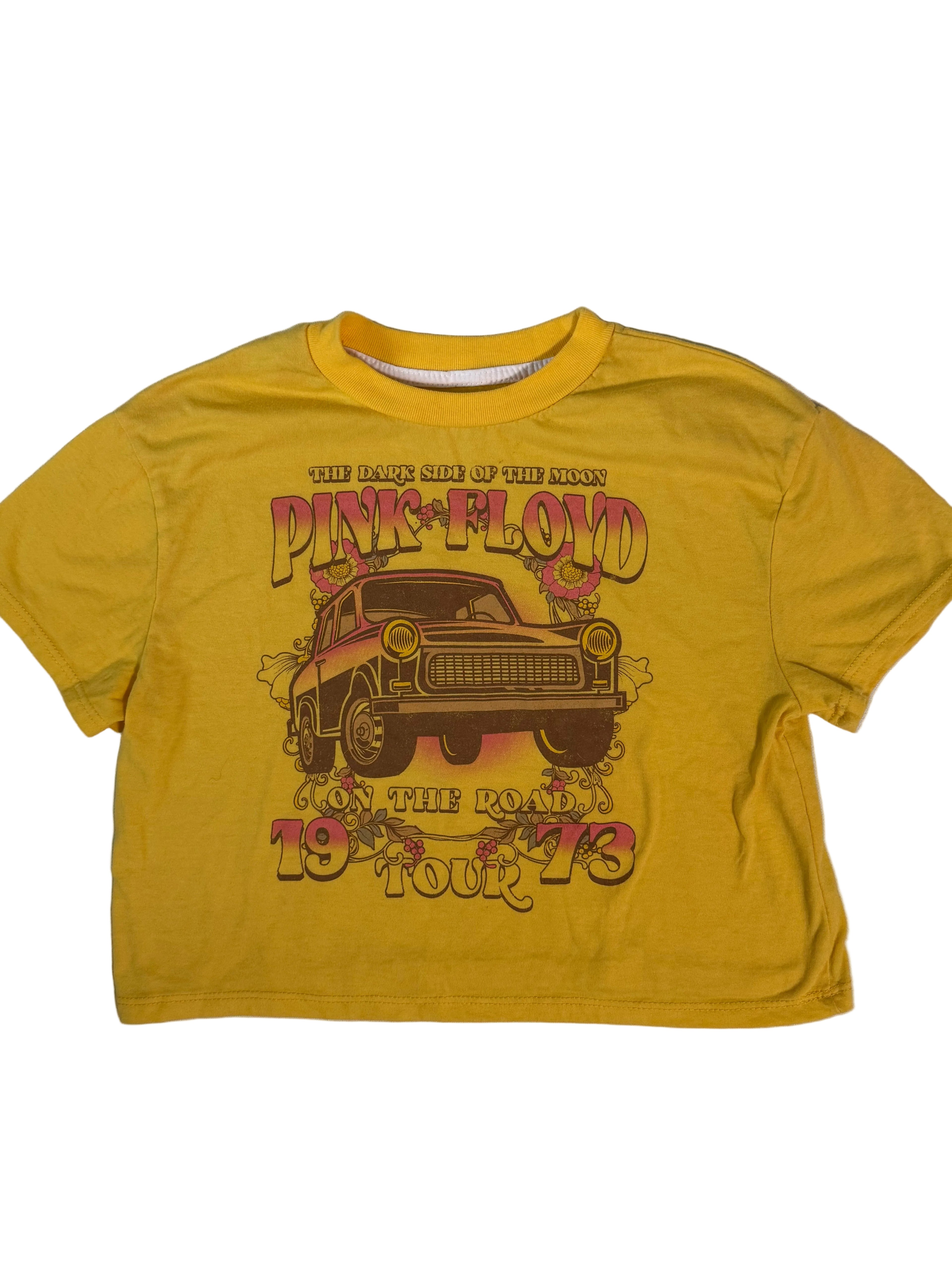 Pink Floyd, S