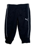 Puma, 12m