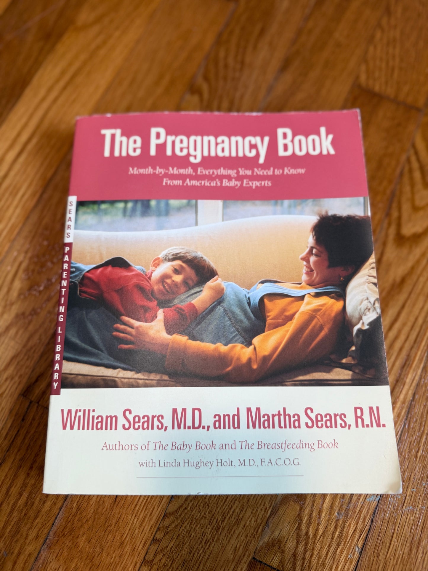 The pregnancy book