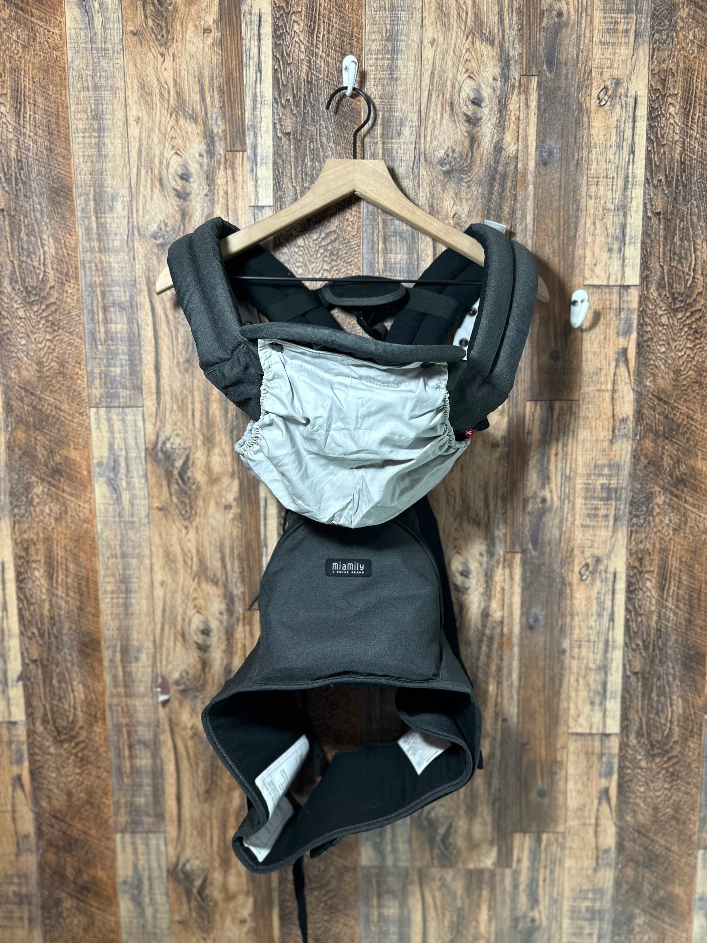 Carrier w/ removable hip carrier