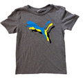 Puma, 6