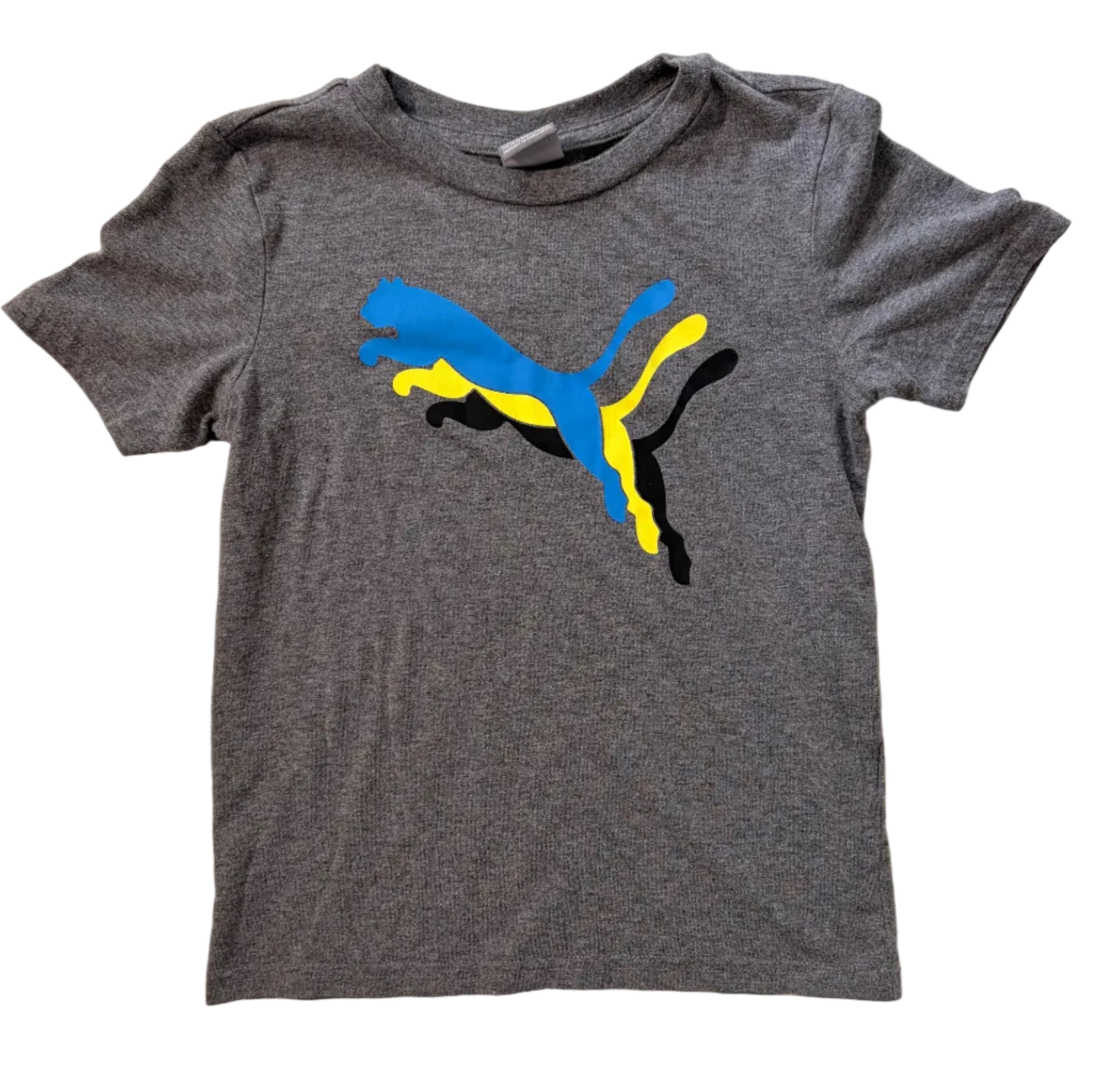 Puma, 6
