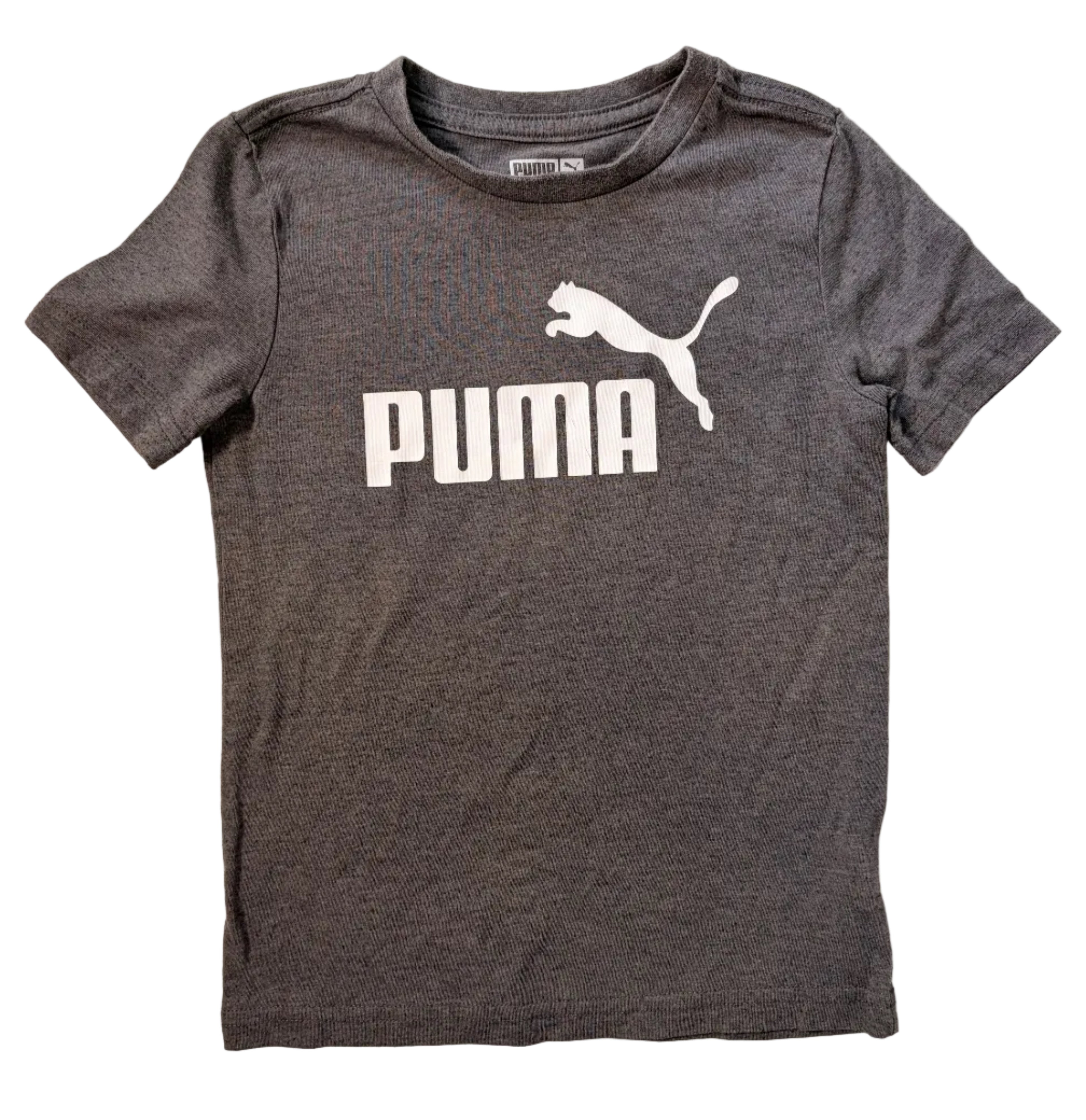 Puma, 5