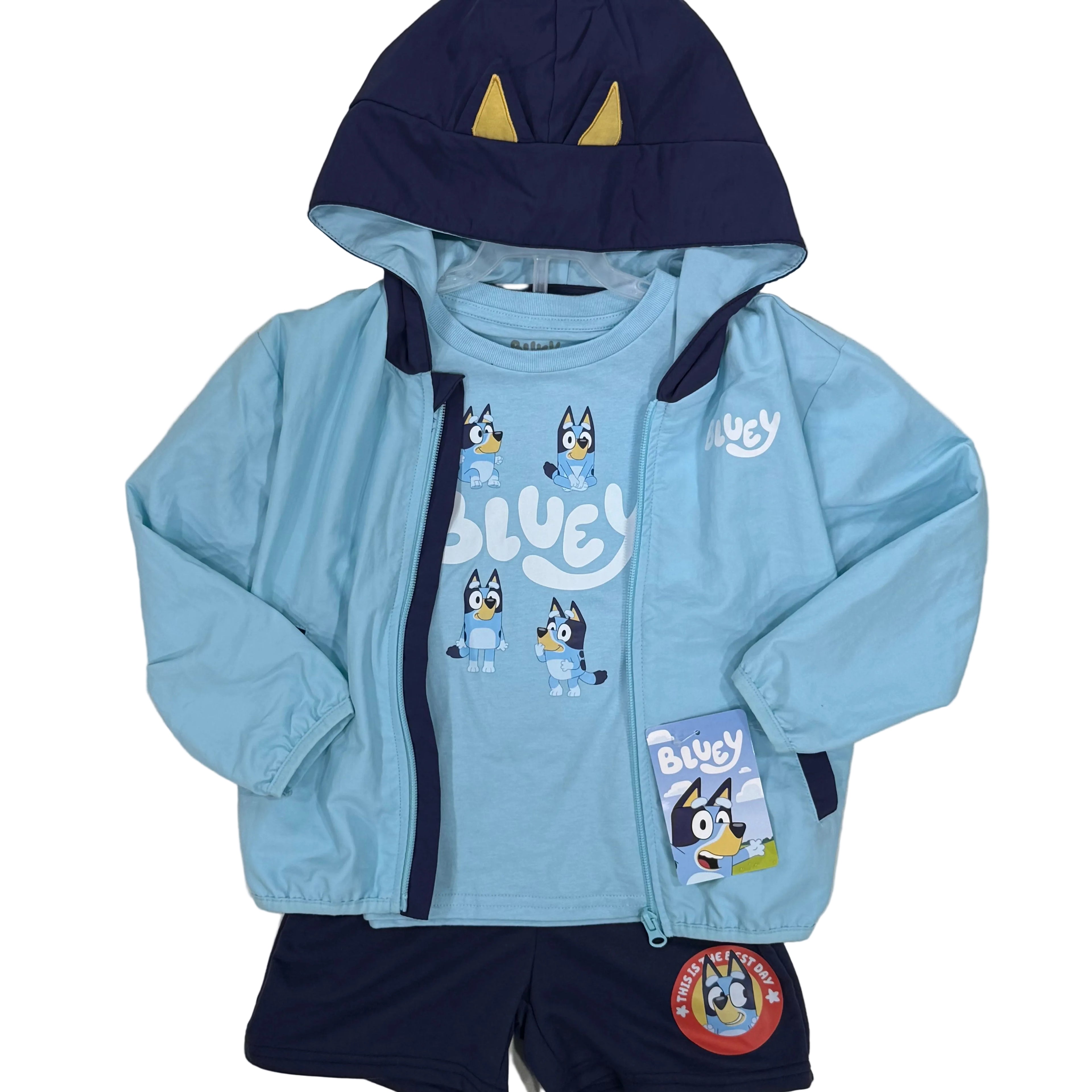 NWT Bluey, 4T
