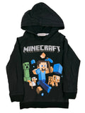Minecraft, 6