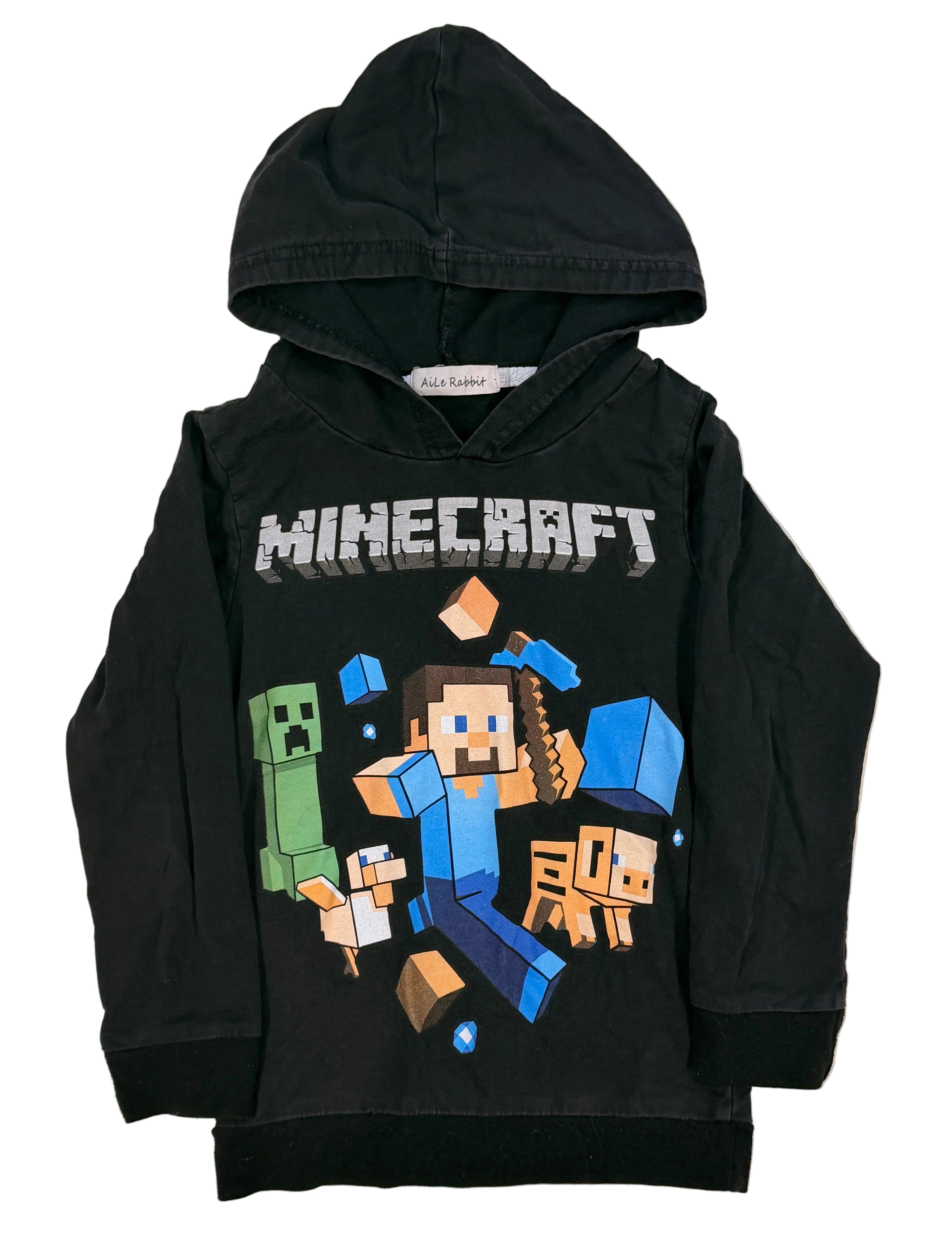 Minecraft, 6