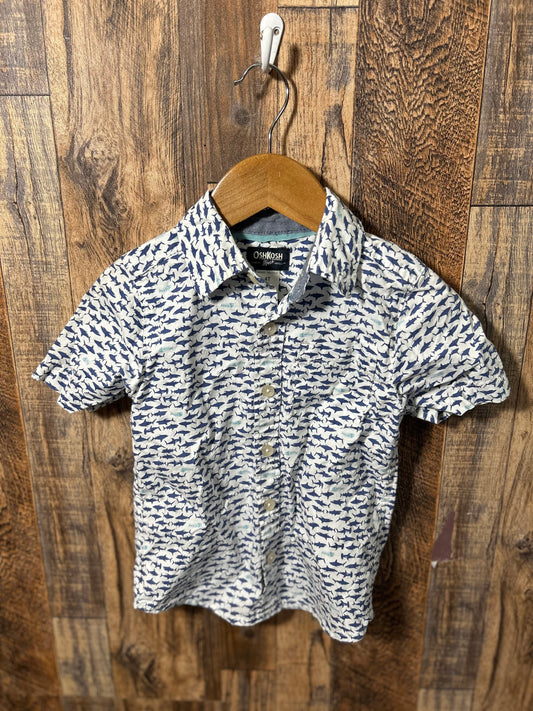 Button up, size 4t