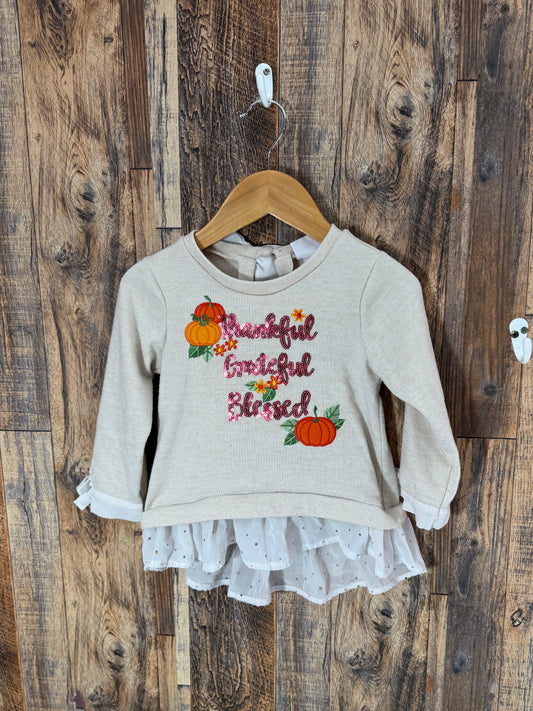 LS fall shirt, size 2t