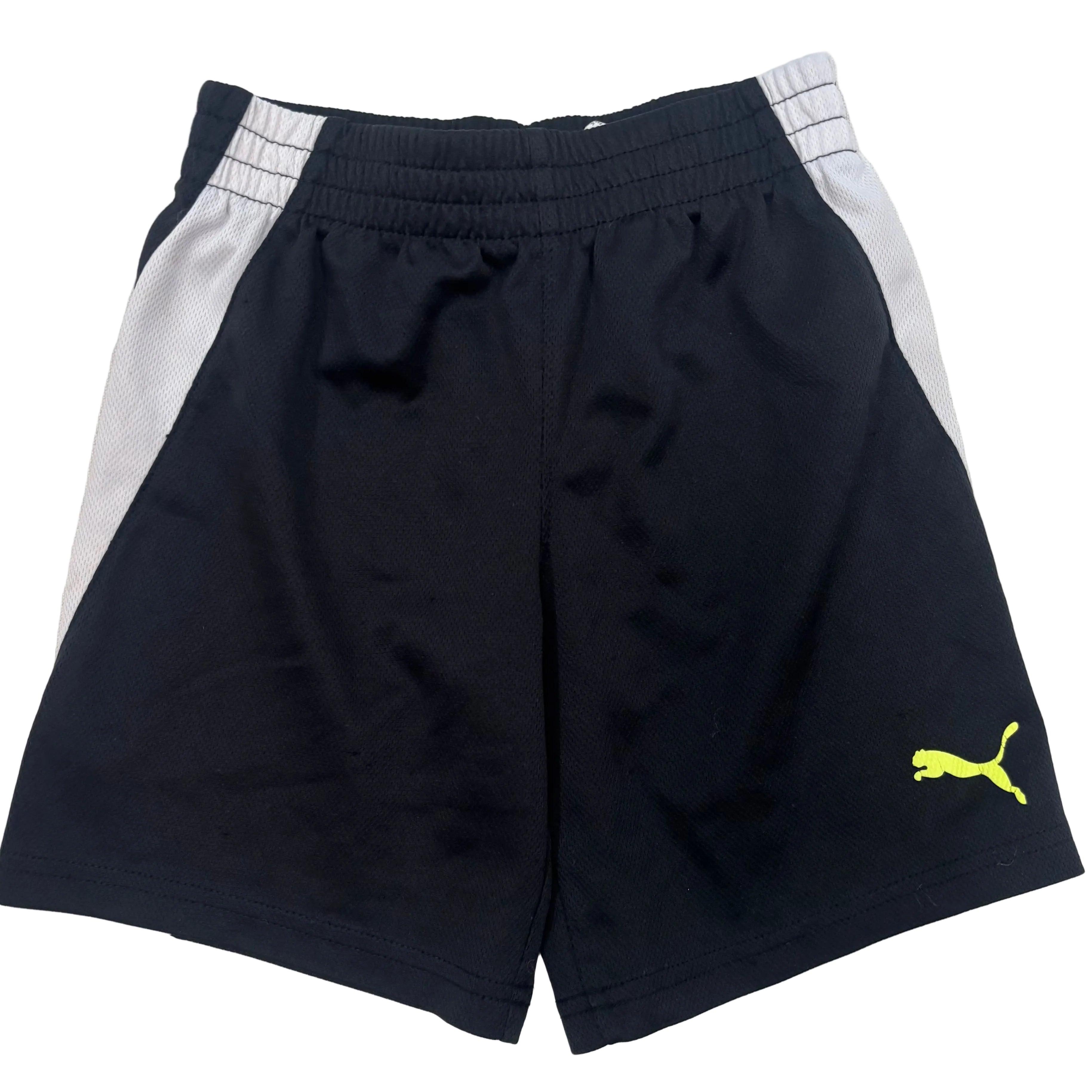 Puma, 5