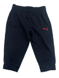 Puma, 2T