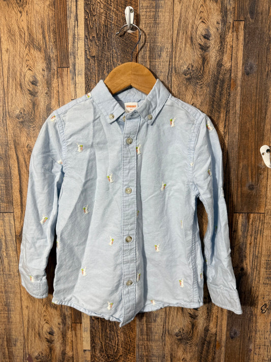 Easter LS button up, size 5t