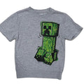 Minecraft, 6