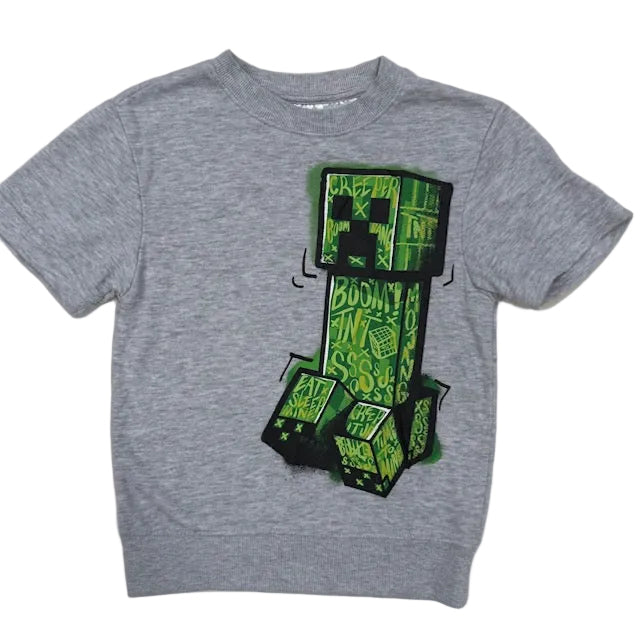 Minecraft, 6