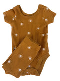 Pl Baby Basics, 3m
