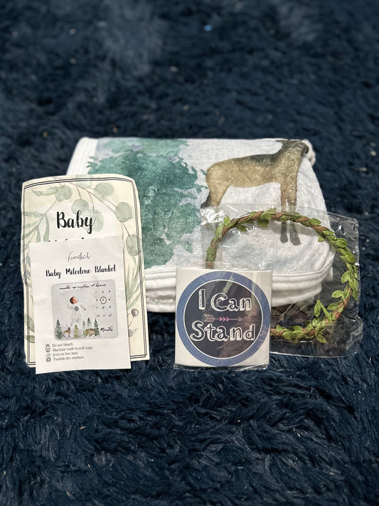 Baby milestone set
