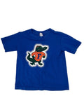 Florida Gators, 2t
