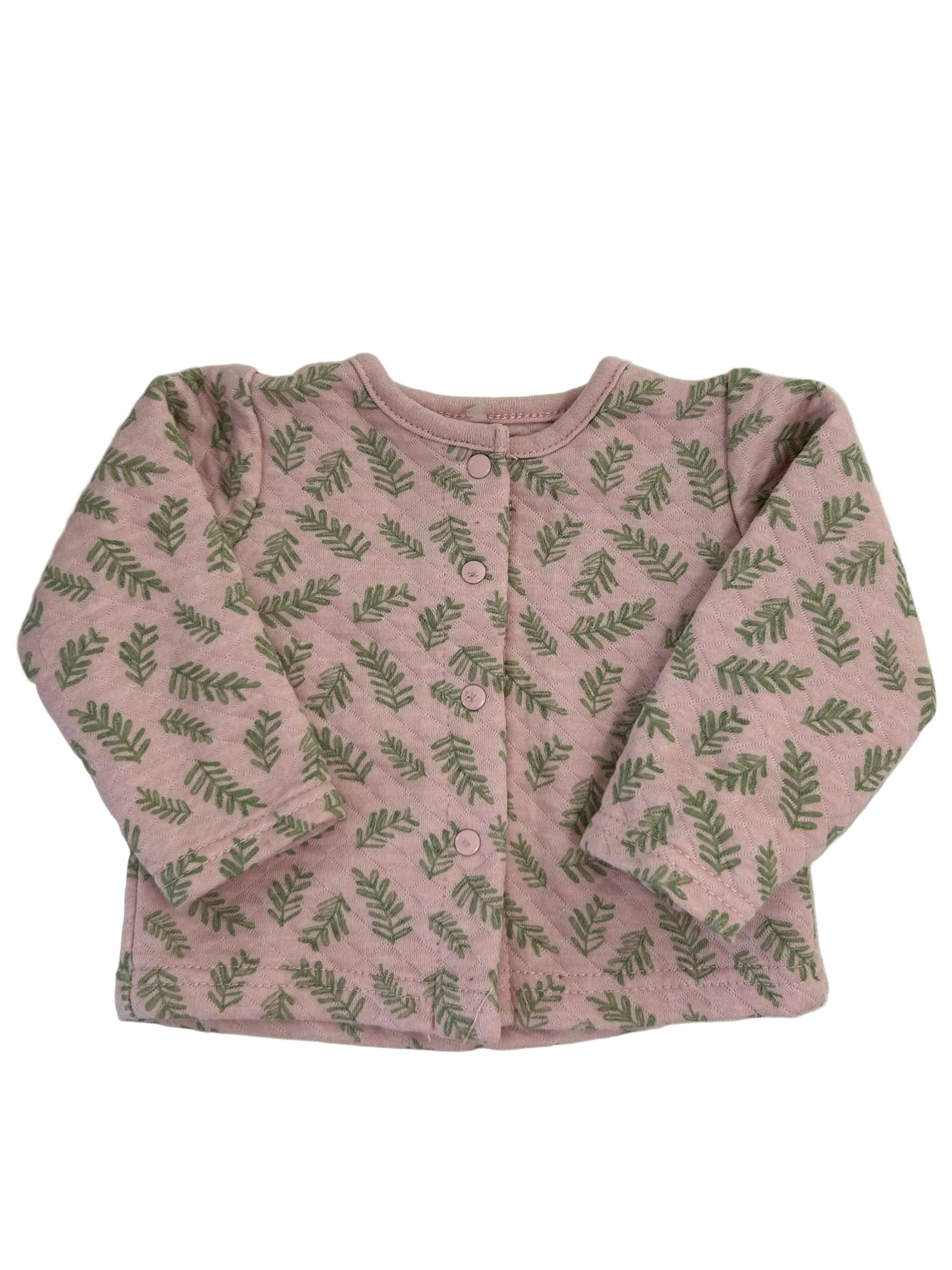 Chick Pea, 6-9m