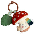 Itzy Ritzy Teething Toy