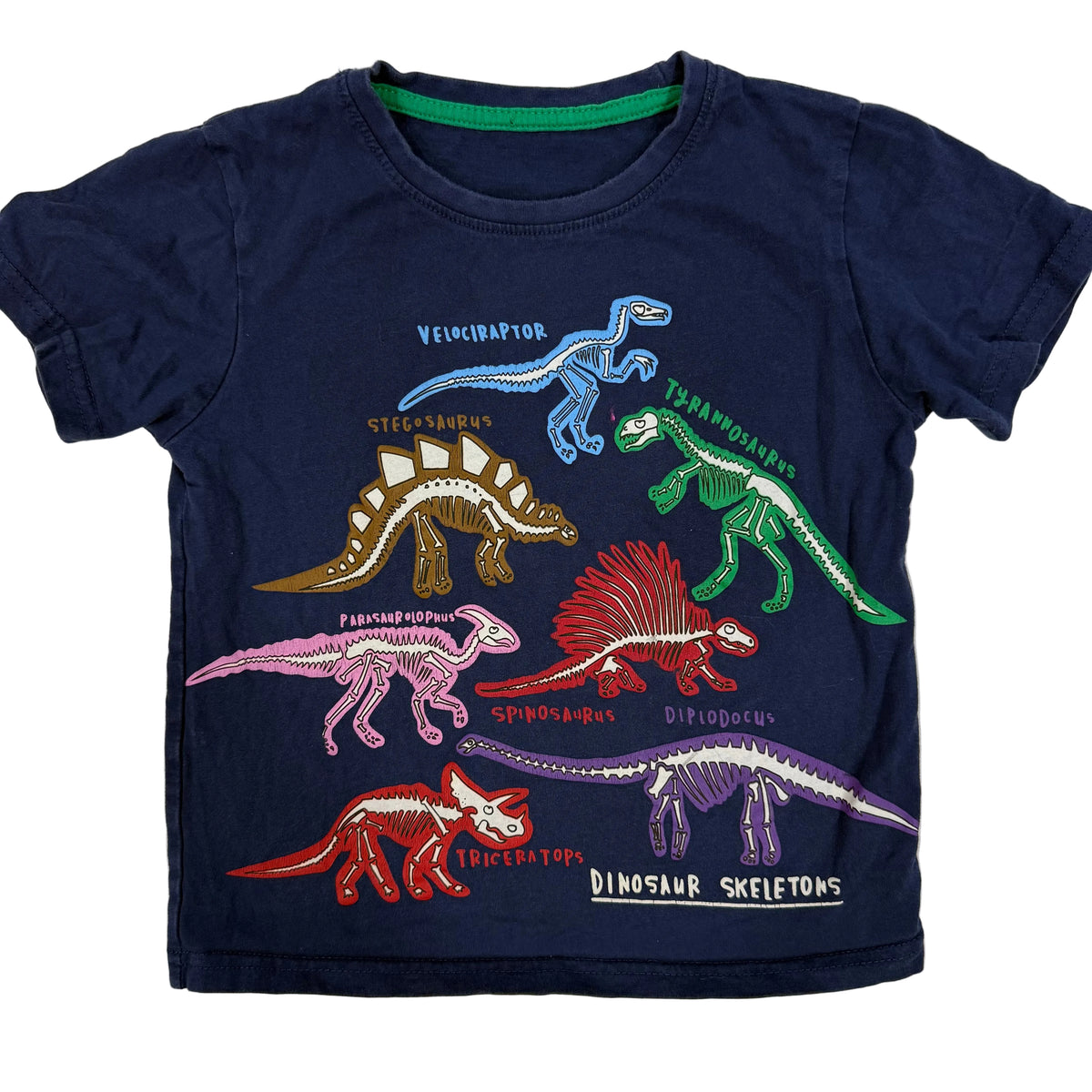 Dinosaur Shirt, 4/5