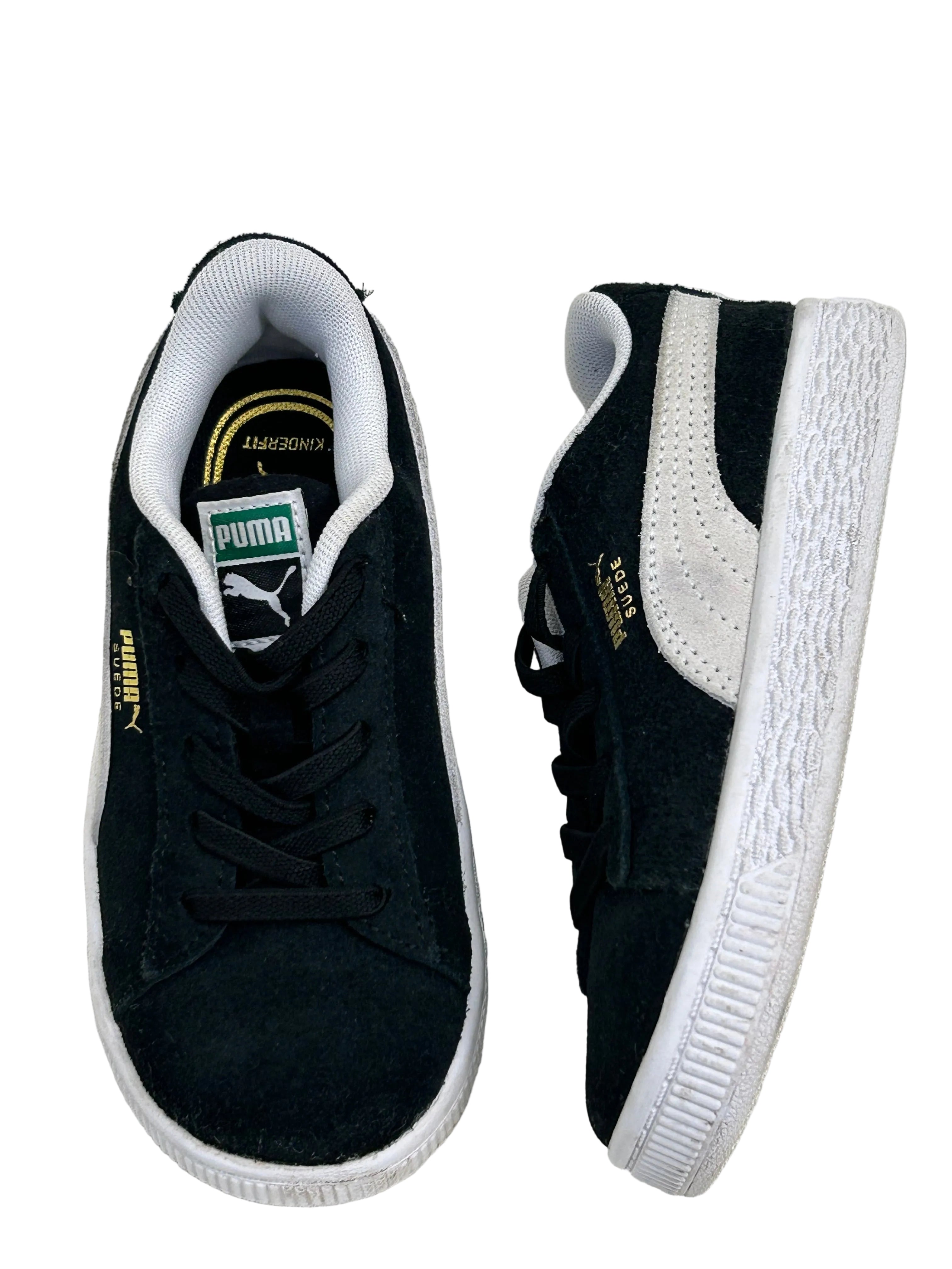 Puma, 9C