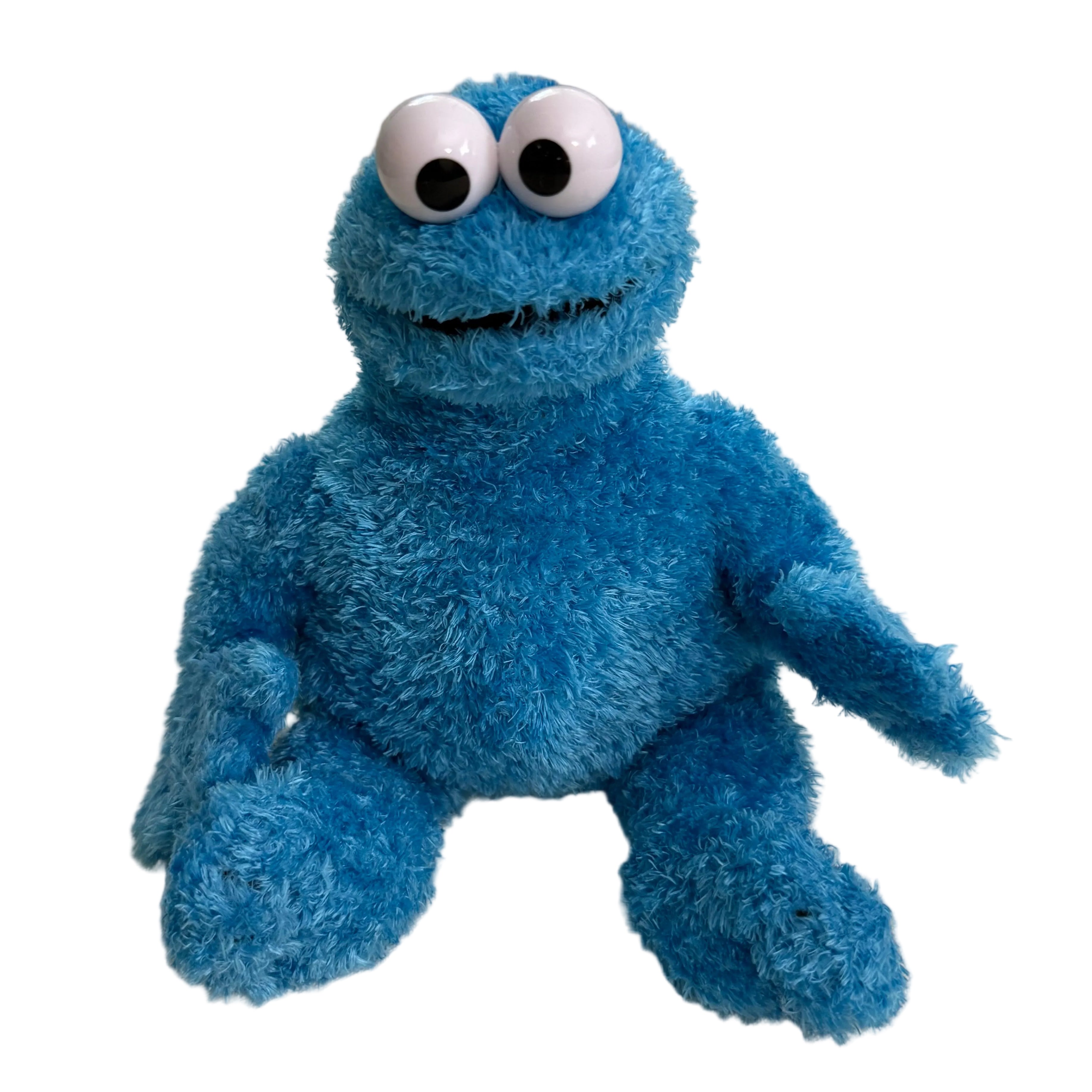 Cookie Monster Stuffed Animal 2012
