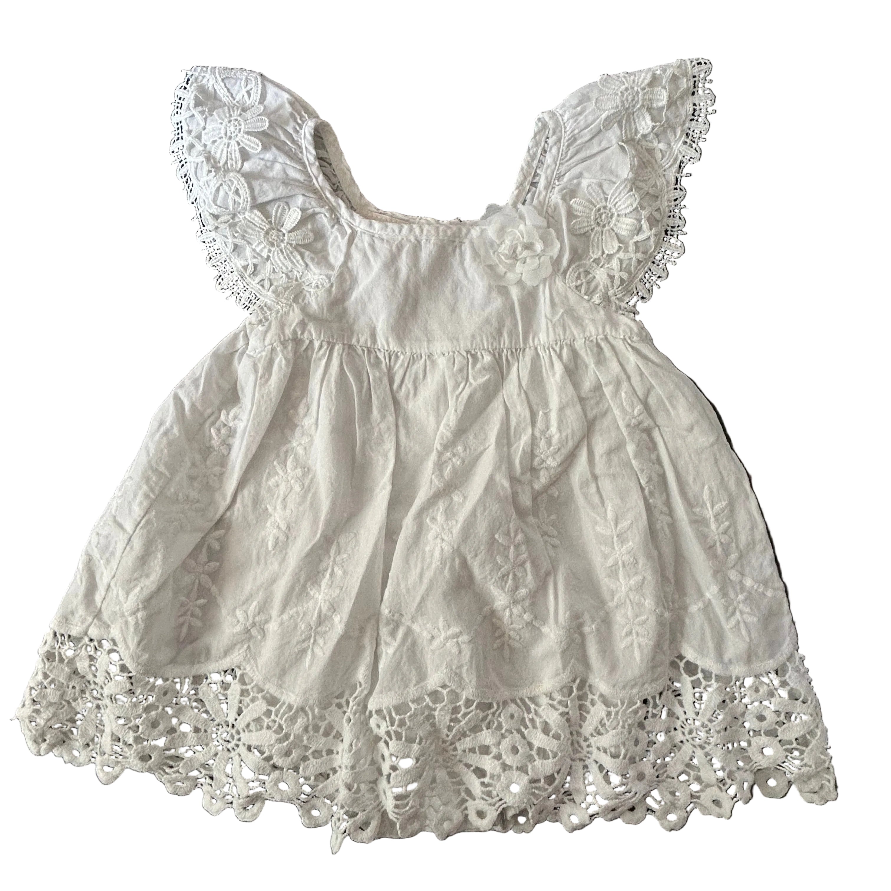 Baby Biscotti, 6-9m