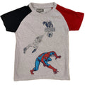 Spiderman, 5