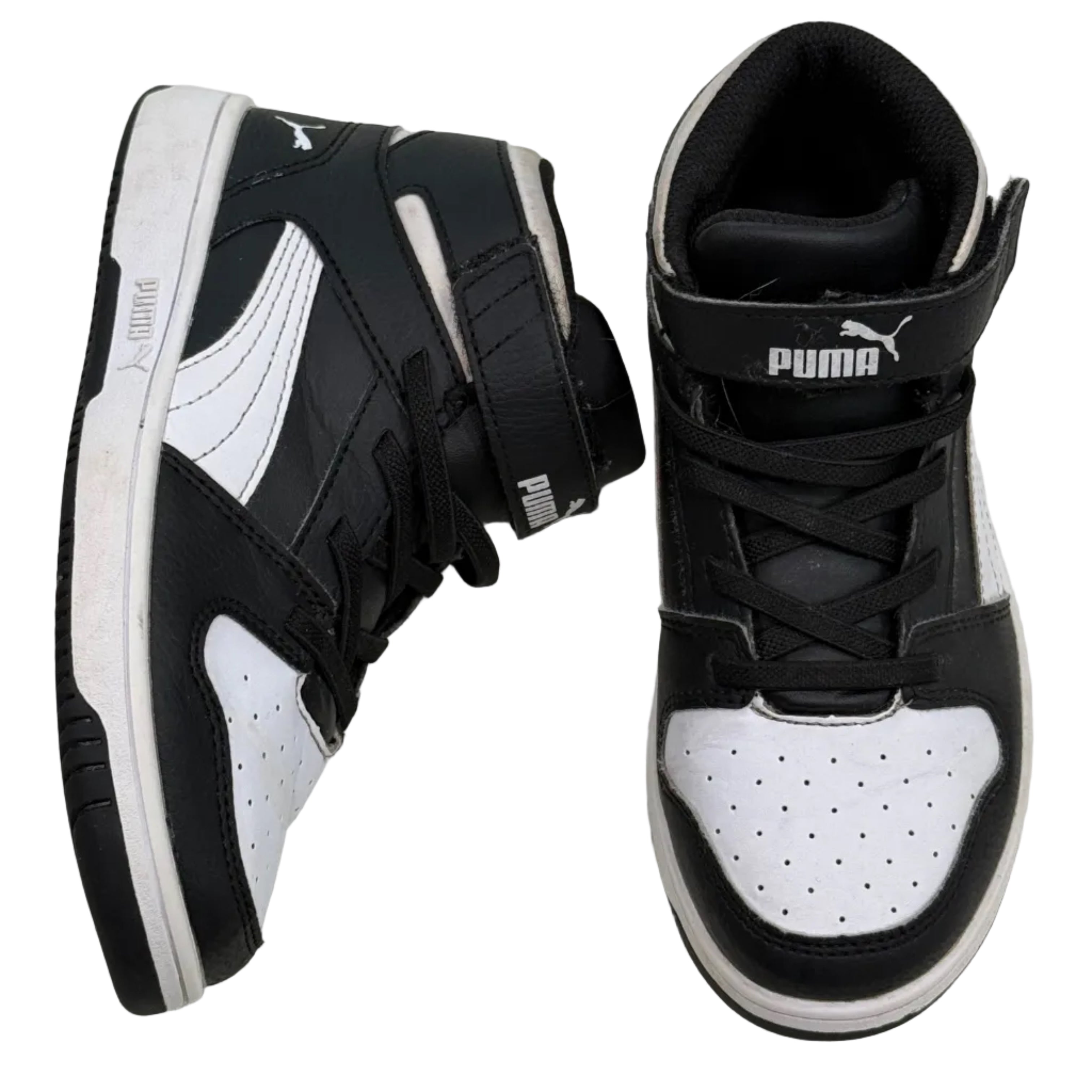 Puma, 1C