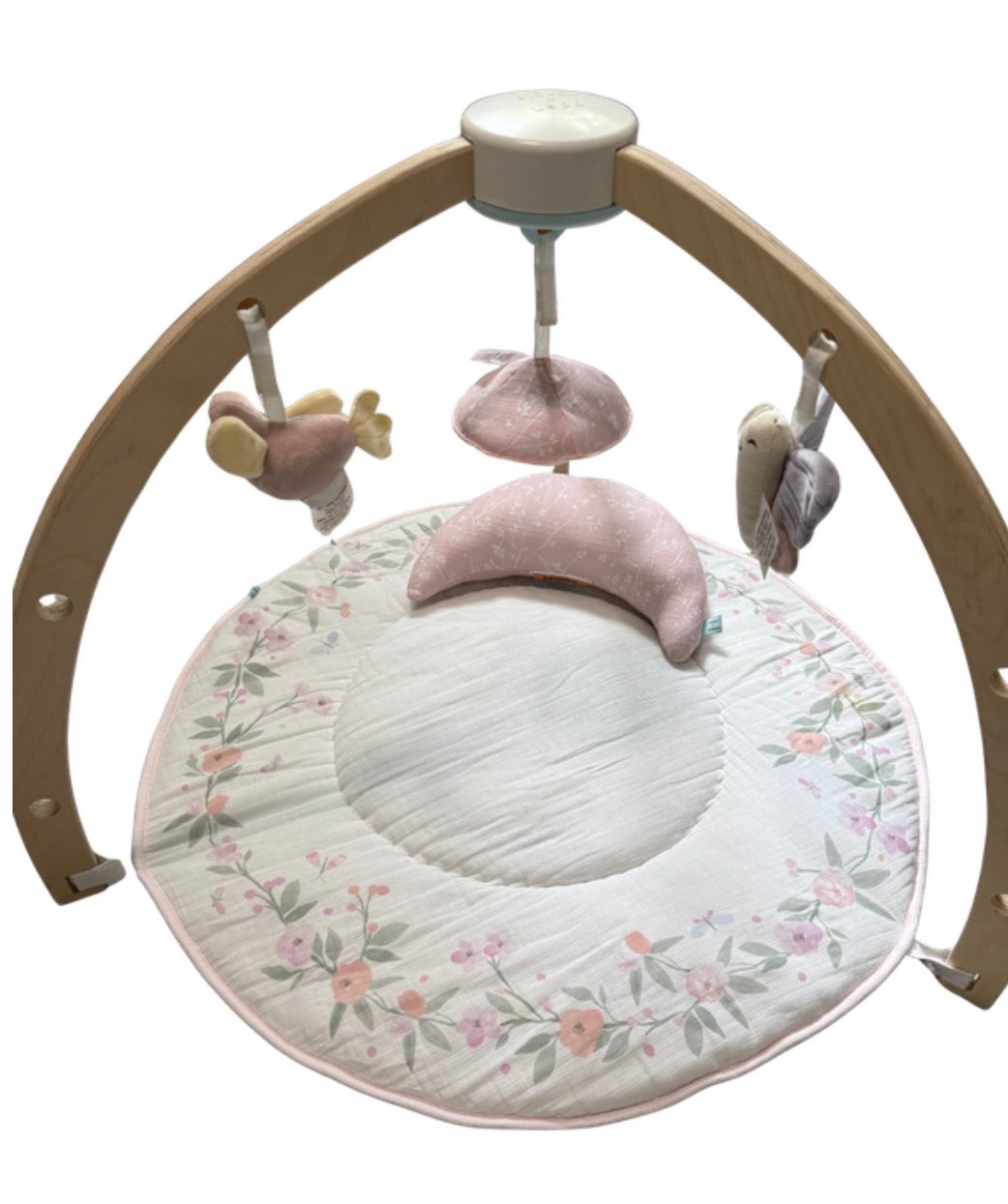 Aden + Anais Baby Activity Gym *see notes